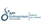 Logo APF Entreprise + ESAT de l'Odet
