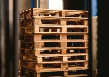 Les différences entre les matériaux de palettes